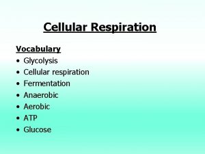 Cellular Respiration Vocabulary Glycolysis Cellular respiration Fermentation Anaerobic
