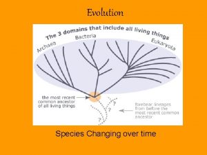 Evolution Species Changing over time Charles Darwin Evolution