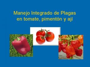 Manejo Integrado de Plagas en tomate pimentn y