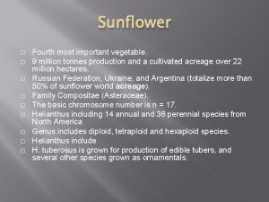 Sunflower Fourth most important vegetable 9 million tonnes