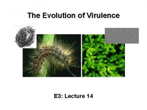 The Evolution of Virulence E 3 Lecture 14