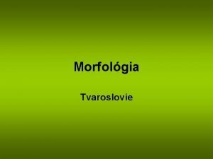 Morfolgia Tvaroslovie Morfolgia je jazykovedn disciplna ktor sa