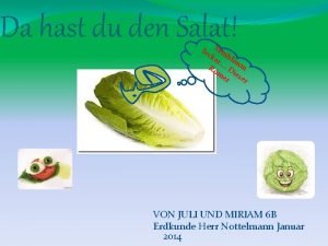 Da hast du den Salat lec Mm ke