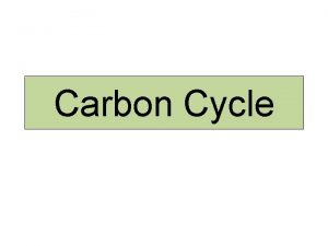 Carbon Cycle 8 3 3 Carbon Cycle I