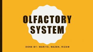 OLFACTORY SYSTEM DONE BY MARIYA MAZEN RIZAM WHAT