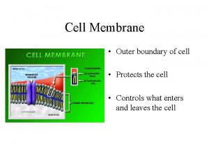 Cell Membrane Outer boundary of cell Protects the