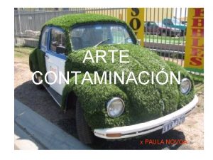 ARTE CONTAMINACIN x PAULA NOVOA DONNA CONLON EEUU