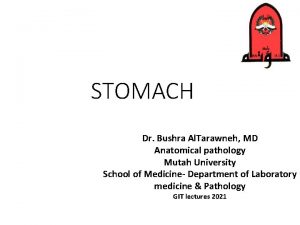 STOMACH Dr Bushra Al Tarawneh MD Anatomical pathology