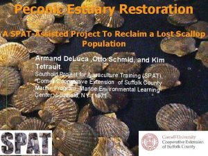 Peconic Estuary Restoration A SPATAssisted Project To Reclaim