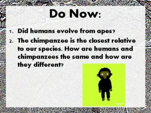 Do Now 1 Did humans evolve from apes