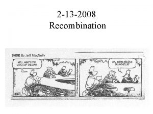 2 13 2008 Recombination 2 13 2008 Recombination