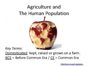 Agriculture and The Human Population Key Terms Domesticated