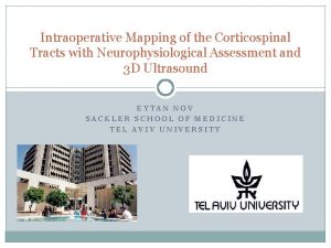 Intraoperative Mapping of the Corticospinal Tracts with Neurophysiological