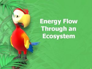 Energy Flow Through an Ecosystem 1 Energy Flow