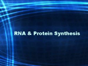 RNA Protein Synthesis DNA RNA Proteins Genes coded