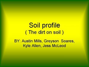 Soil profile The dirt on soil BY Austin