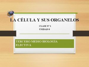 LA CLULA Y SUS ORGANELOS CLASE N 1