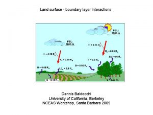 Land surface boundary layer interactions Dennis Baldocchi University
