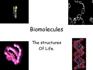 Biomolecules The structures Of Life Macromolecules Monomers single