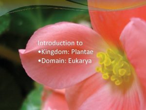 Introduction to Kingdom Plantae Domain Eukarya Plant Facts