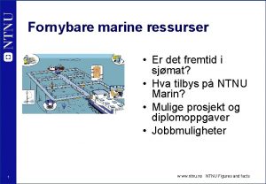 Fornybare marine ressurser Er det fremtid i sjmat