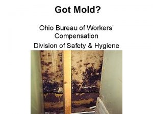 Got Mold Ohio Bureau of Workers Compensation Division