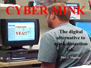 CYBER MINK YEA The digital alternative to mink