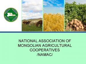 NATIONAL ASSOCIATION OF MONGOLIAN AGRICULTURAL COOPERATIVES NAMAC COUNTRY