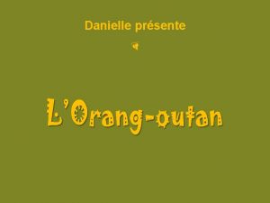 Danielle prsente Les orangsoutans ou orangsoutangs forment un