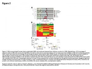 Figure 2 RNA sequencing of human brain endothelial