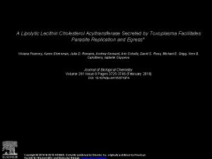 A Lipolytic Lecithin Cholesterol Acyltransferase Secreted by Toxoplasma