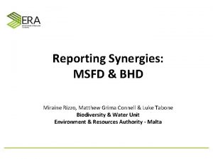 Reporting Synergies MSFD BHD Miraine Rizzo Matthew Grima
