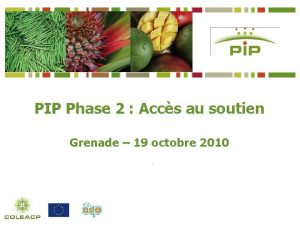 PIP Phase 2 Accs au soutien Grenade 19