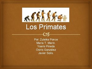 Los Primates Por Zuleika Ponce Mara T Marn