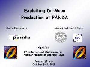 Exploiting DiMuon Production at PANDA Marco Destefanis Universit