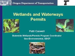 Wetlands and Waterways Permits Patti Caswell Statewide WetlandsPermits