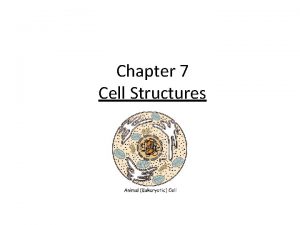 Chapter 7 Cell Structures Viruses Considered nonliving in