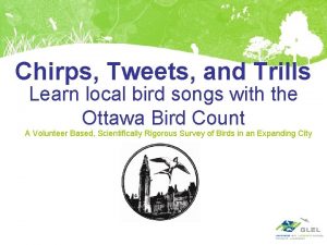 Chirps Tweets and Trills Learn local bird songs