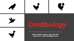 Ornithology North Carolina coaches clinic 2019 2020 Taylor