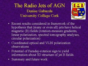 The Radio Jets of AGN Denise Gabuzda University