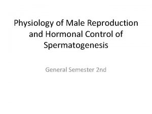 Physiology of Male Reproduction and Hormonal Control of