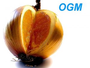 OGM COSA SONO Organismi Geneticamente Modificati Vengono anche