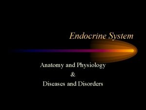 Endocrine System Anatomy and Physiology Diseases and Disorders