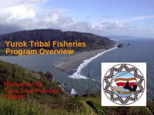 Yurok Tribal Fisheries Program Overview Michael Belchik Yurok