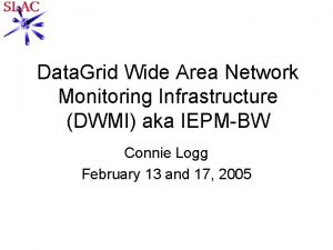 Data Grid Wide Area Network Monitoring Infrastructure DWMI