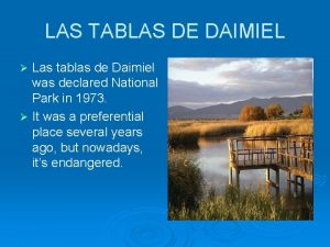 LAS TABLAS DE DAIMIEL Las tablas de Daimiel