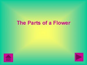 The Parts of a Flower The Parts of