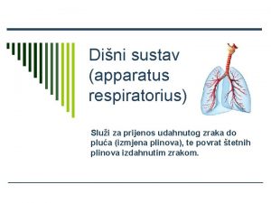 Dini sustav apparatus respiratorius Slui za prijenos udahnutog