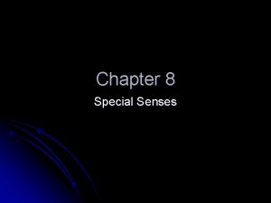 Chapter 8 Special Senses Sensory system Sensory system