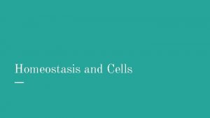 Homeostasis and Cells What is Homeostasis Homeostasis relatively